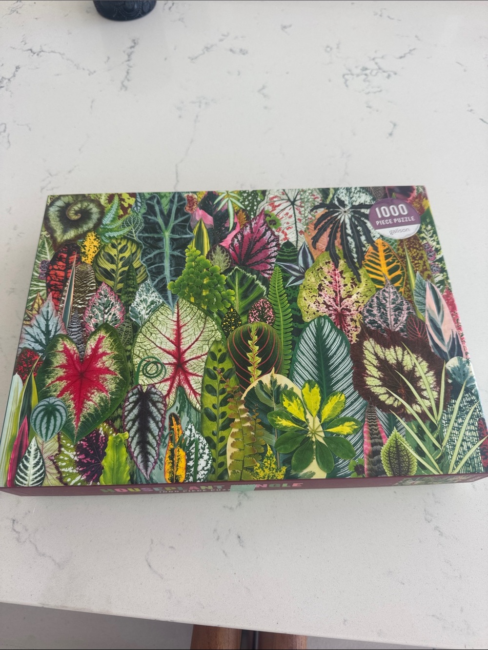 1000-Piece Galison Botanical Leaves Puzzle - Vibrant Multi-Color
